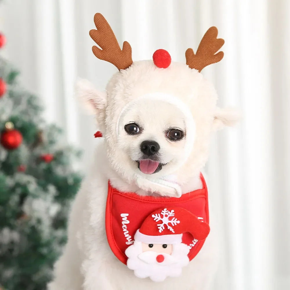 Costumes- Pet clothes- christmas