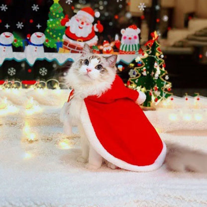 christmas costume for cat