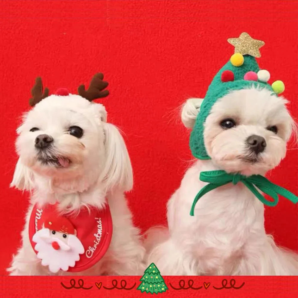 Christmas hat for cats and dogs