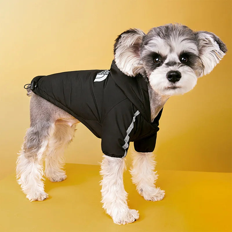 Waterproof down jacket "The Dog Face" - Zennimals