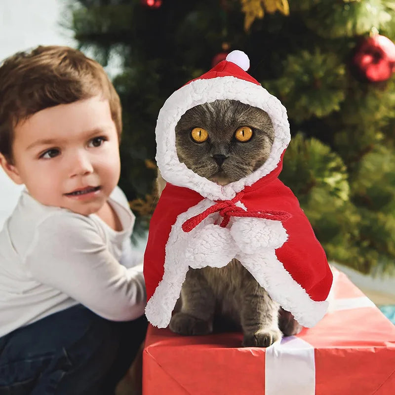 christmas costume for cat