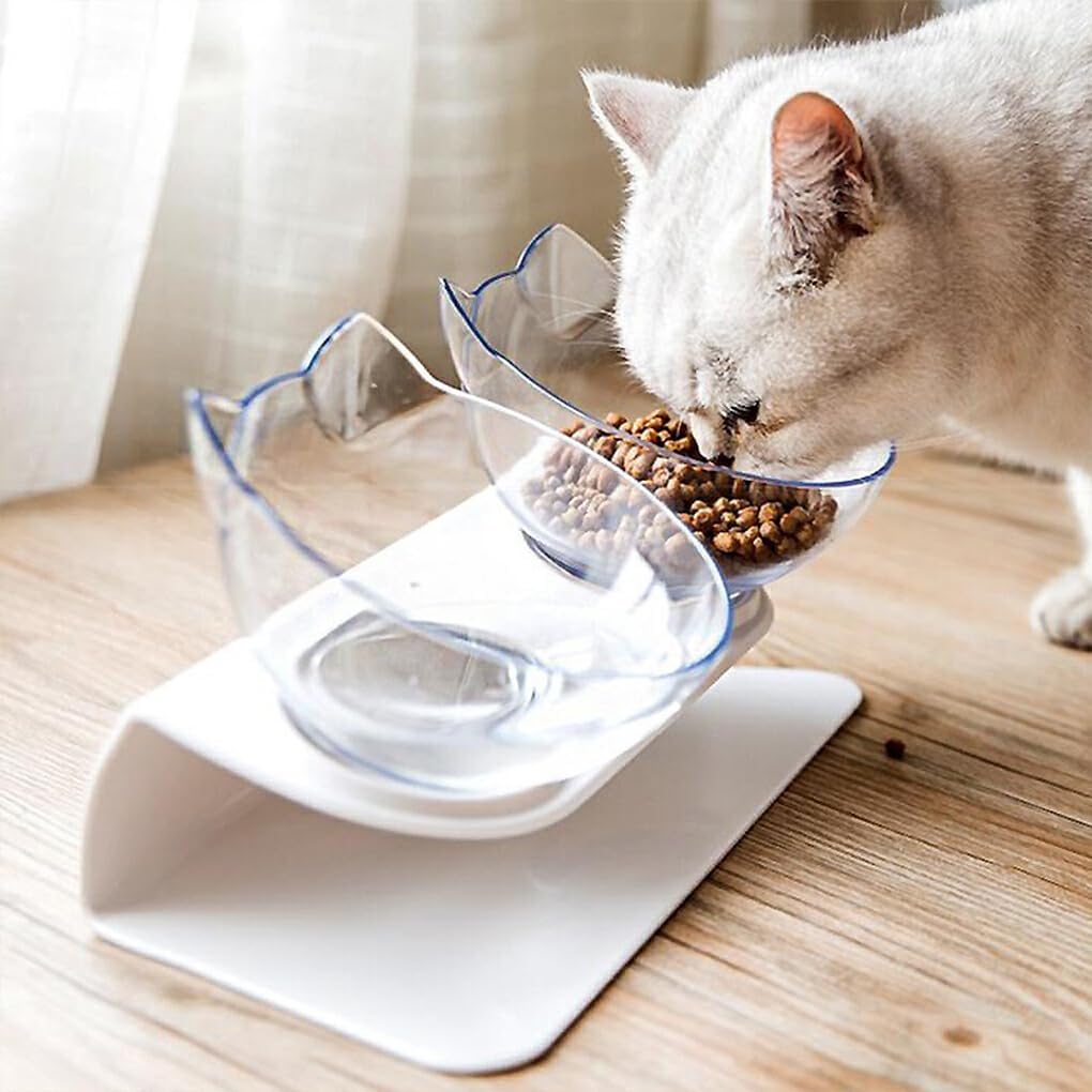 Anti-vomiting Orthopedic Bowl For Cats - Zenimals