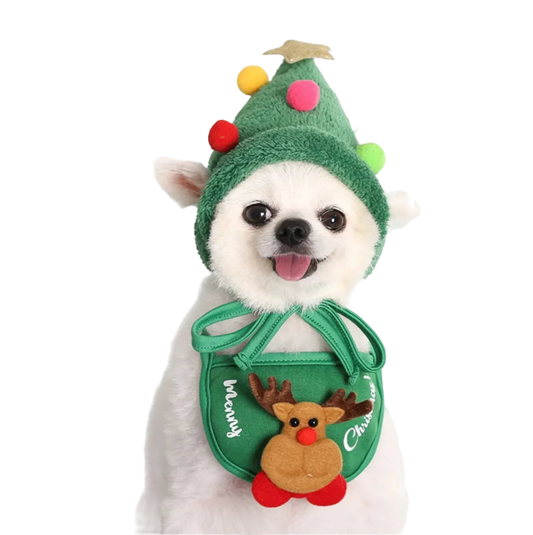 Christmas hat for cats and dogs